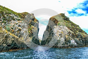 Cape Hauy, Tasman Peninsula National Park