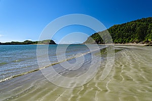 Cape Hillsborough National Park