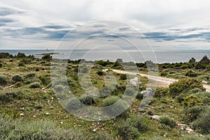 Cape Kamenjak, Istra, Croatia