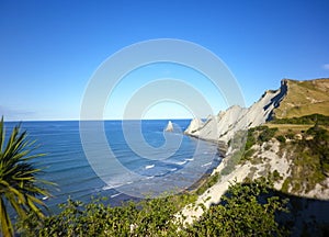 Cape Kidnappers, Hawkes Bay, North Island, New Zealand.