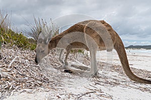 Cape Le Grand National Park, Western Australia