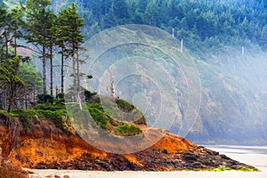 Cape Lookout beach on Oregon Coast