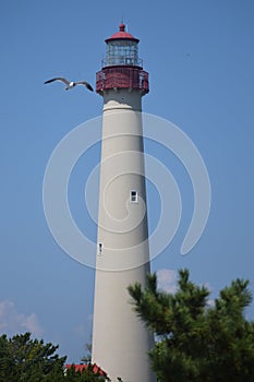 Cape May lighthouse