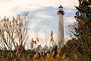 Cape May Lighthouse photo