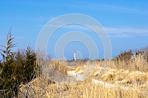 Cape May Lighthouse Trails