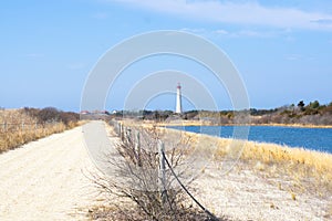 Cape May Lighthouse Trails