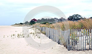Cape May: Windswept Seashore