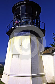 Cape Meares Light  11624