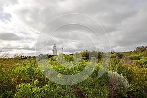 Cape-Naturalists Lighthouse: Western Australia