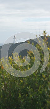 The Cape Otway Lighthouse seen though the trees at the Great Ocean Road in Australia