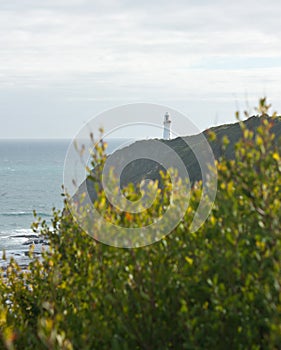 The Cape Otway Lighthouse on the shore at the Great Ocean Road in Australia