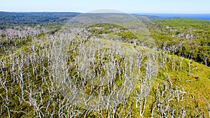 Cape Otway Nationa Park, Australia. Aerial view