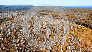 Cape Otway Nationa Park, Australia. Aerial view