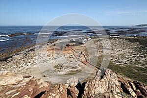 Cape Point, Cape of good Hope, South Africa photo