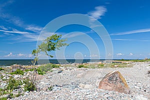 Cape Purekkari in Estonia