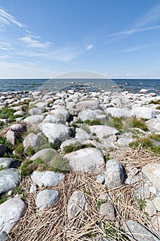 Cape Purekkari in Estonia