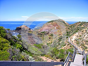 Cape Schanck Boardwalk