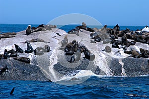 Cape seals