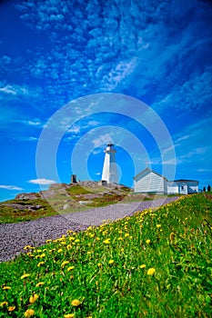 Cape Spear Lighthouse Newfoundland