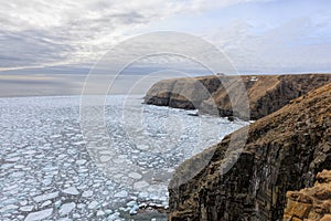 Cape St. Marys, Newfoundland, Canada photo