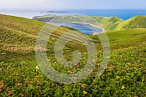 Cape Sukoton, Todo Island, and the Wildflowers of the Cape Tour