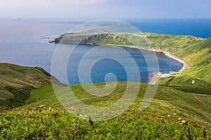 Cape Sukoton, Todo Island, and the Wildflowers of the Cape Tour