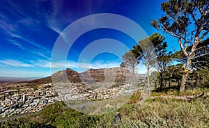 Cape Town City from Signal Hill