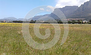 Rondabosh comm afternoon