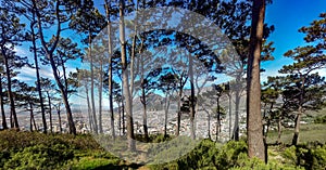 Cape Town from Signal Hill