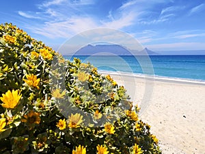 Cape Town Table Mountain seen from Blouberg Beach South Africa