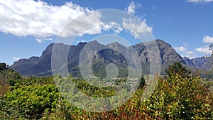 Cape Town Vineyards South Africa