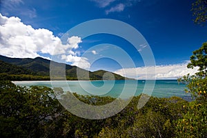 Cape Tribulation photo