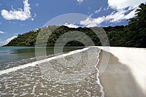 Cape Tribulation
