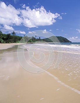 Cape tribulation beach, Queensland photo