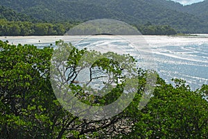Cape Tribulation in the Daintree Rainforest in Tropical North Queensland