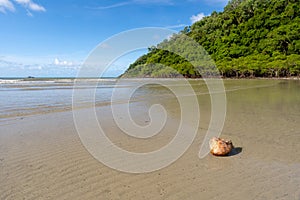 Cape Tribulation - Queensland - Australia