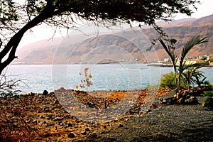 Cape verde