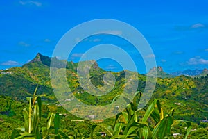 Cape Verde Volcanic Landscape, Corn Plant, Green Fertile Mountains Slopes photo