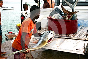 Cape Verdean fisherman