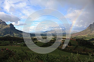 Cape Winelands