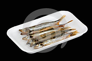 Capelin