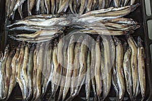 Capelin fish or Karafuto shishamo fish on the baking tray before frying