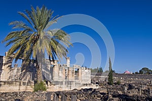 Capernaum synagogue