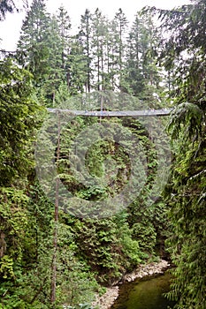 Capilano Bridge in Vancouver