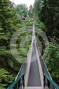 Capilano Bridge in Vancouver