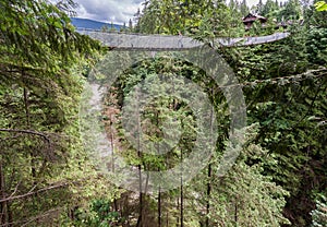 Capilano Bridge in Vancouver