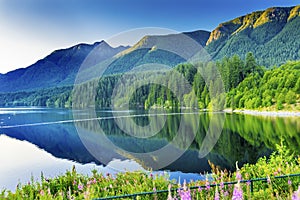 Capilano Reservoir Lake Green Mountains Vancouver British Columbia