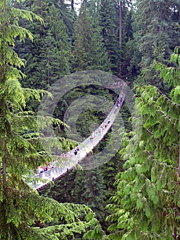 Capilano Suspension Bridge