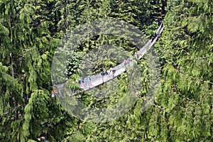 Capilano Suspension Bridge