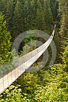 Capilano suspension bridge in Canada